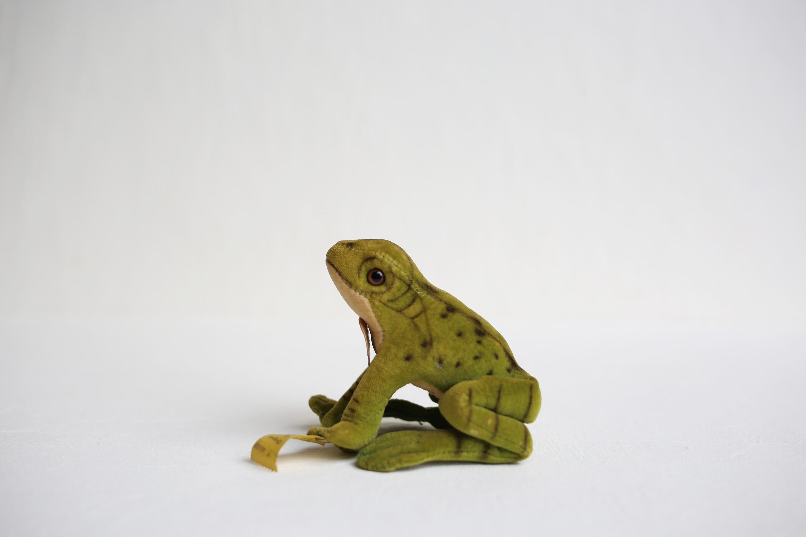 アンティークカエル ぬいぐるみ ヴィンテージ シュタイフ 蛙 Steiff