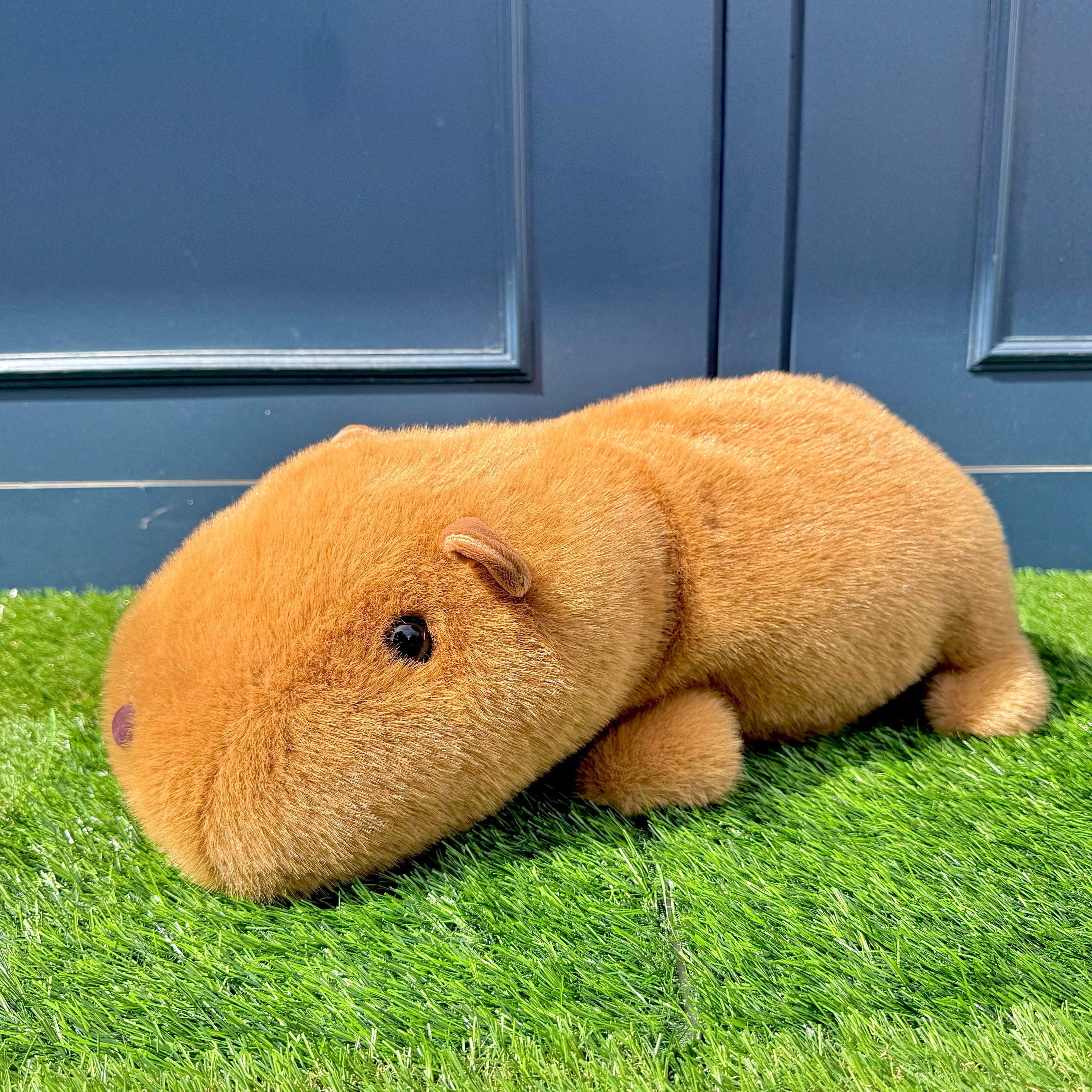 ふわふわカピバラ | 円山裏参道WawA◎◎ミュージアム