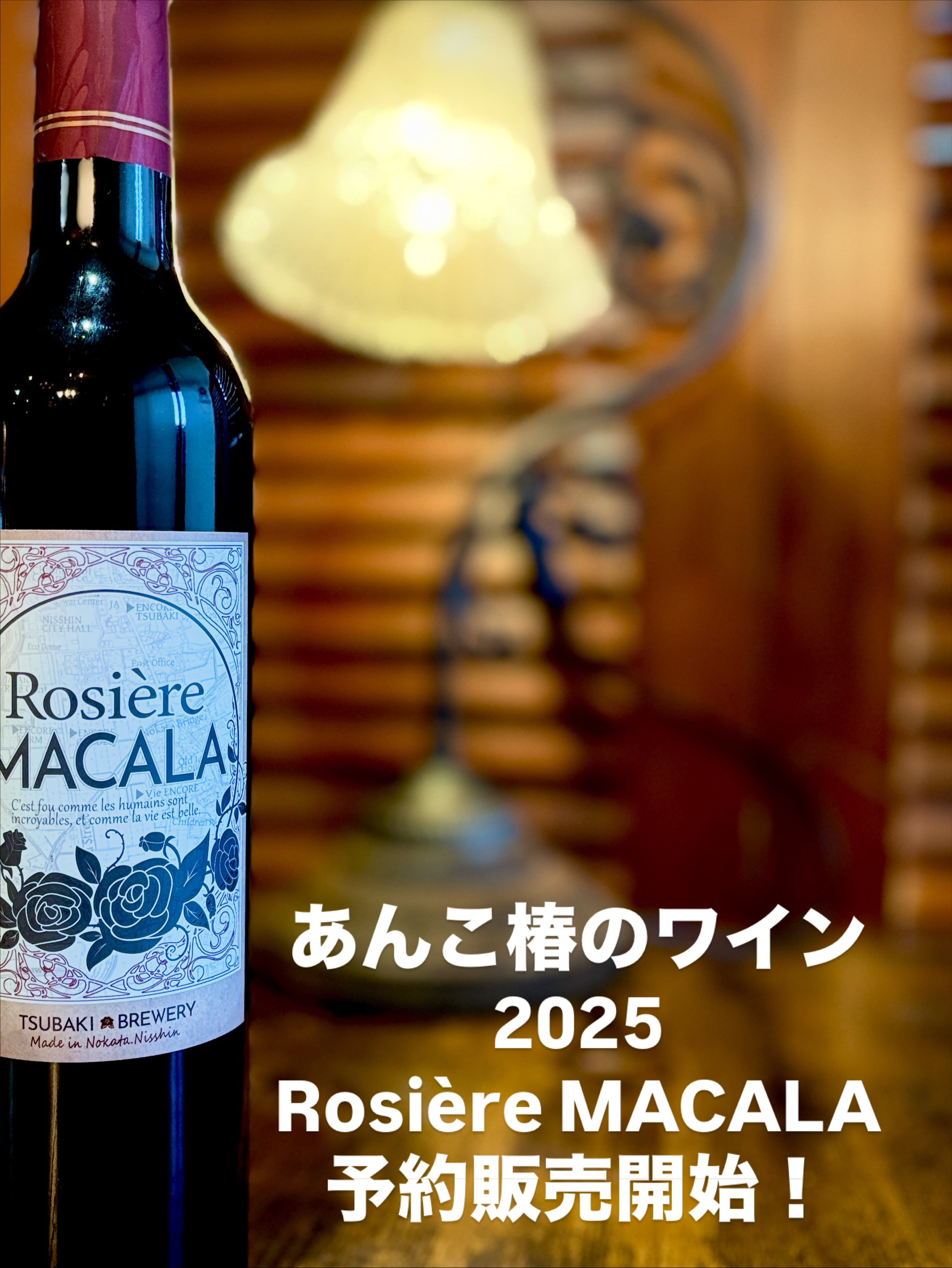 ☆値下げ☆サ2512-242 ヴィンテージ アンティーク ワインセラー 購入価格¥500000超 キズ汚れ有り ザ・セラーエイジド – SUNTORY FROM FARM Online Shop