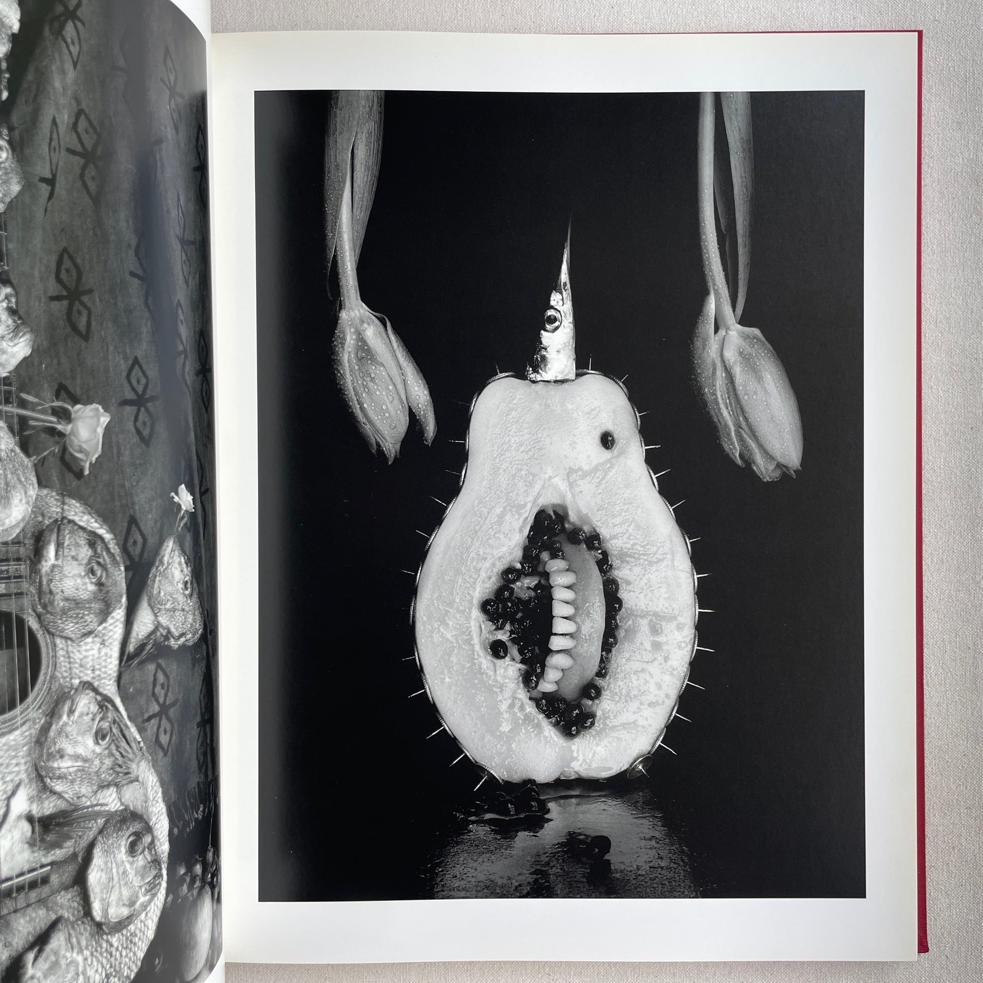 Michiko Kon 今道子写真集 | 汀線 / TEISEN BOOKS
