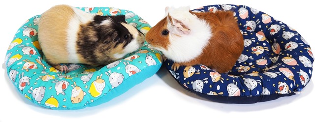 【小動物】うさちゃんのラウンドマット　ブルー/グリーン