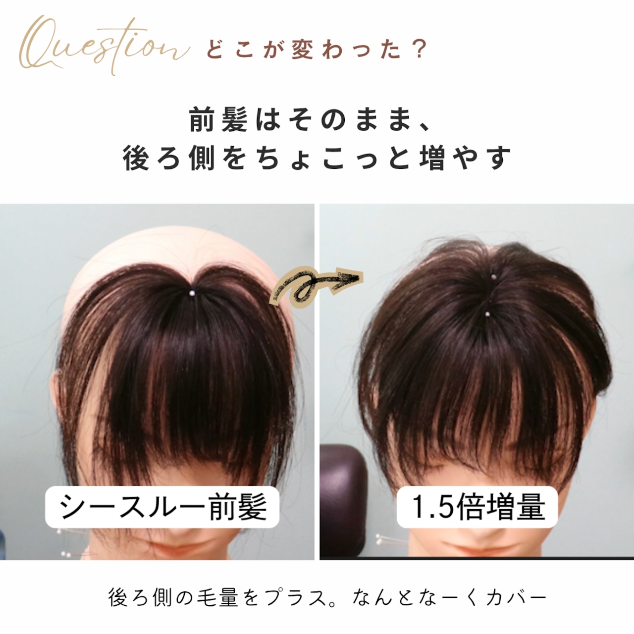 【医療用ウィッグ】 人毛100%シースルー前髪ウィッグ〈1.5倍増量タイプ〉 |フル卒 部分ウィッグ 美容師仕上げの自然な前髪カバー【5×6cm】