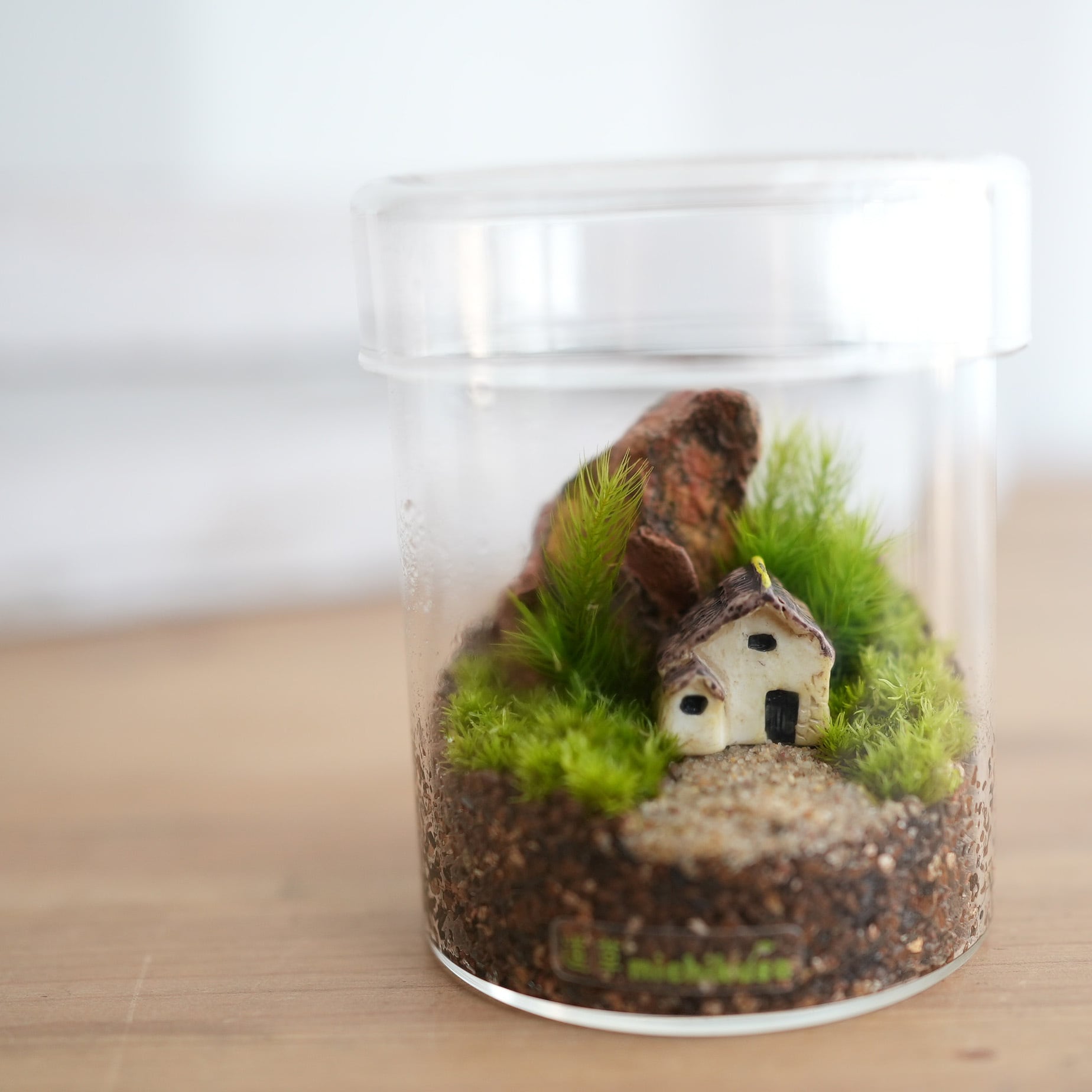 ミニチュアの世界】家のある苔テラリウム シリンダー | 苔テラリウム