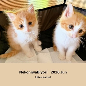 「猫庭日和単月」猫庭支援フォトブック　単月購入