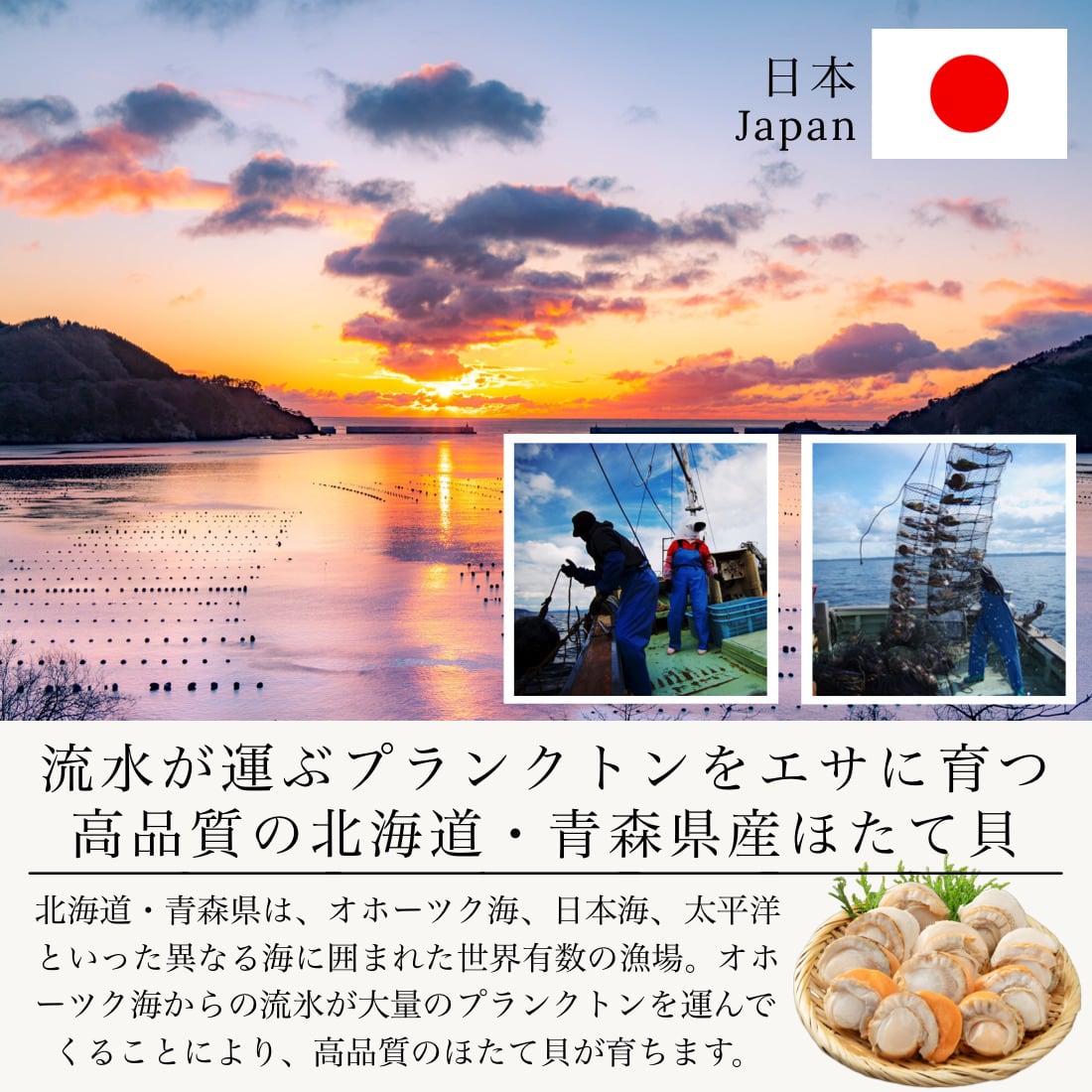 無添加 国産 ホタテ 大粒サイズ 400g(約10-12粒入) 冷凍 北海道 青森県