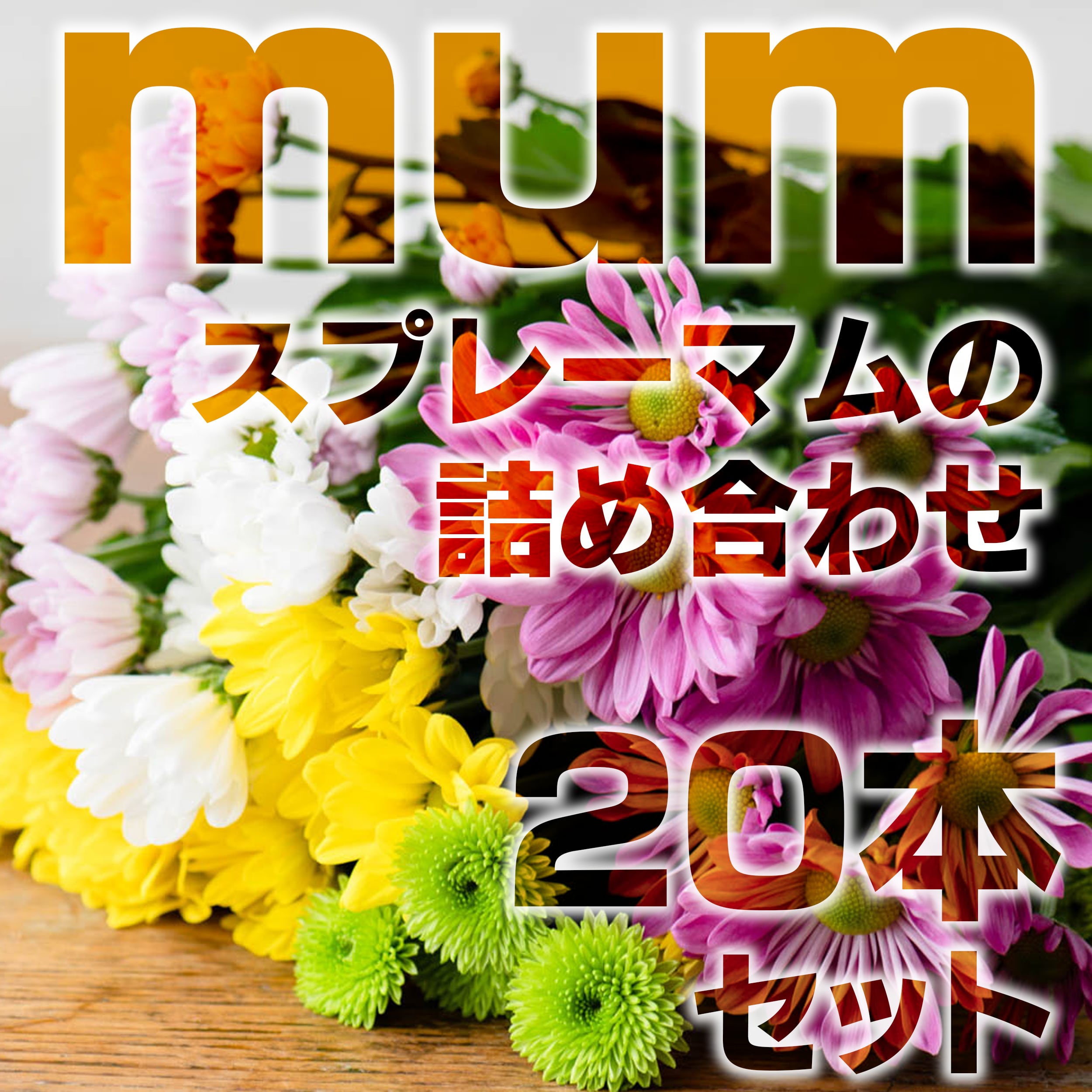 おしゃれに飾る♡スプレーマム20本セット｜菊｜切り花・生花〈フラワー