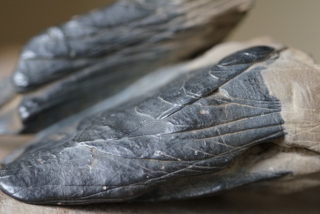 古谷石　Furuya Stone