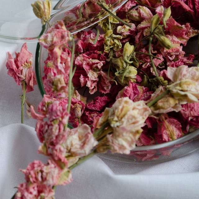 fragrance petals #delphinium | potpourri ポプリ