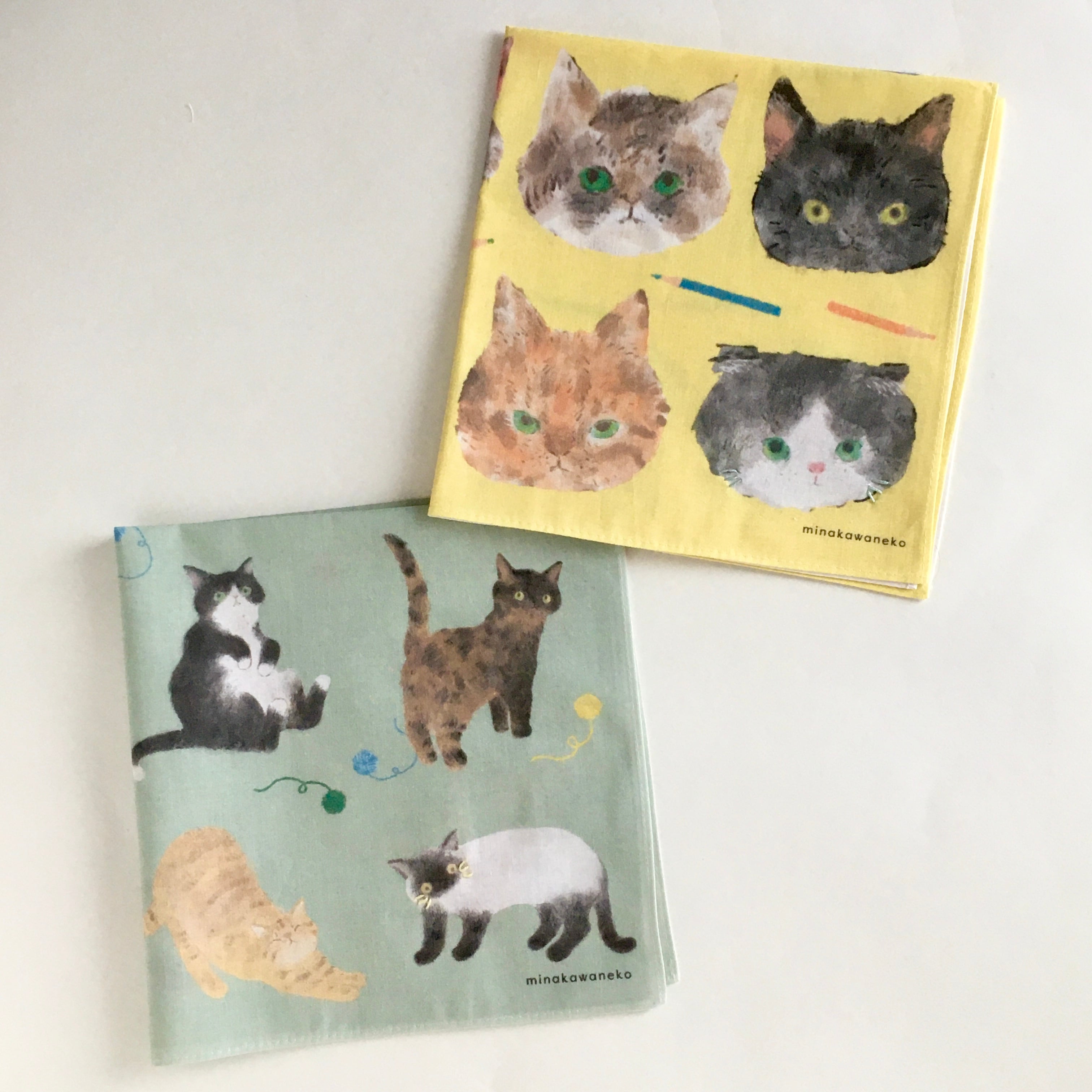 みなかわねこ