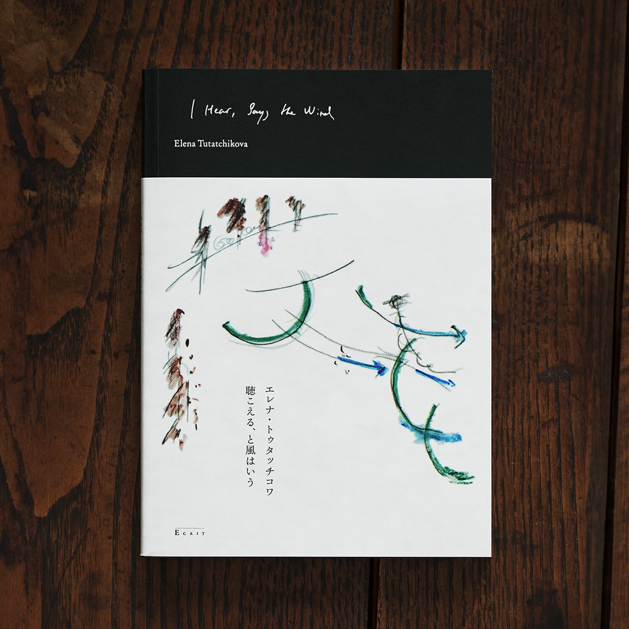 アムネジア 太田螢一作品集 | Pay ID