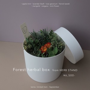Forest herbal box. from HERB STAND