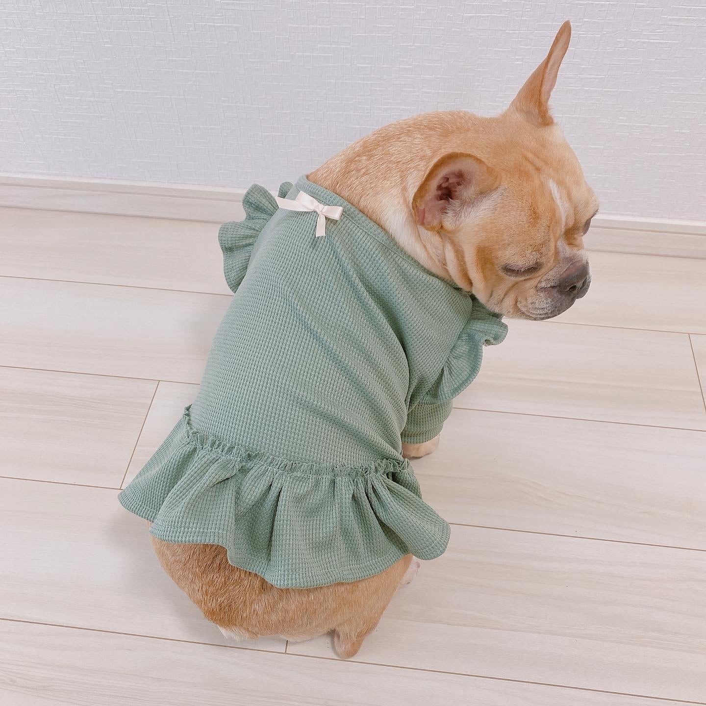 Apple apple ピンク,ホワイト各Mサイズ ワンピース 犬服 クール