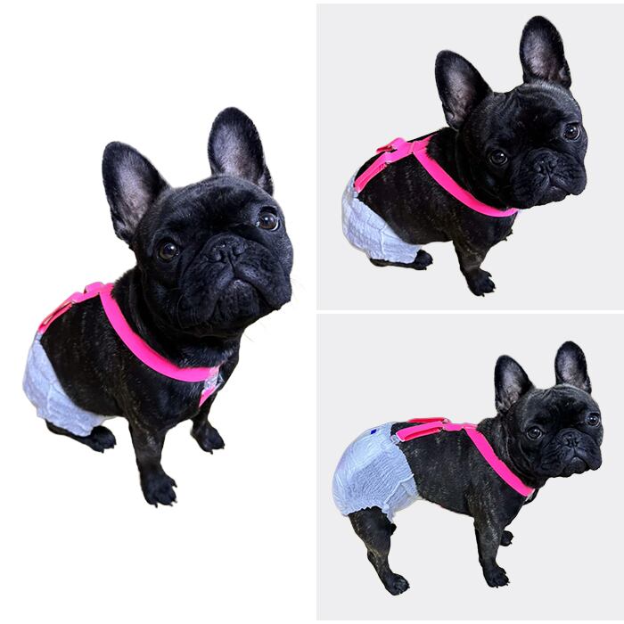 日本製 軽量サスペンダー 樹脂クリップ 犬用 高品質 猫用 おむつ固定