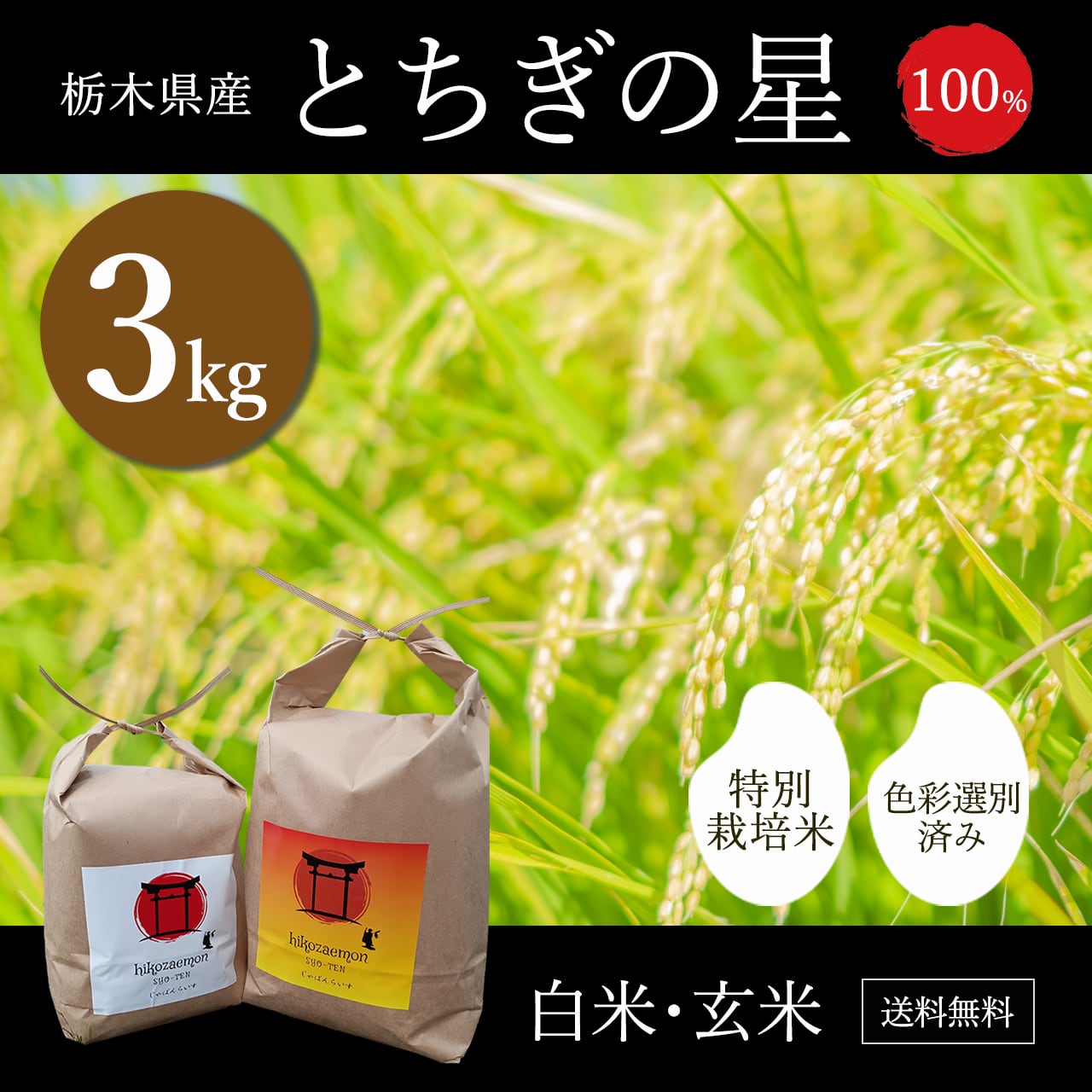 栃木県産 特別栽培米 とちぎの星 新米 24キロ