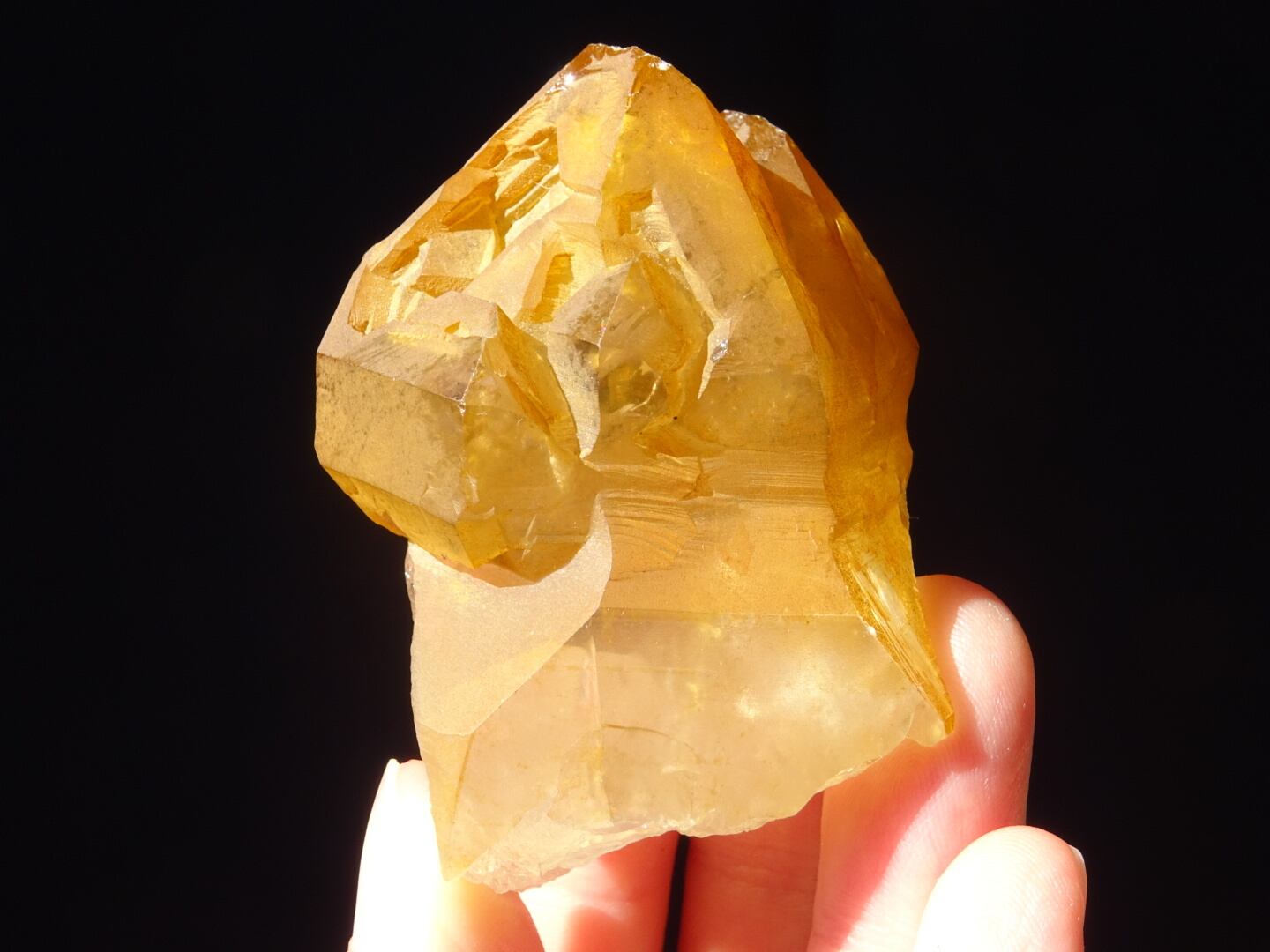 ゴールデンエレスチャル珍品 ⭐️珍品・逸品⭐️音が鳴る