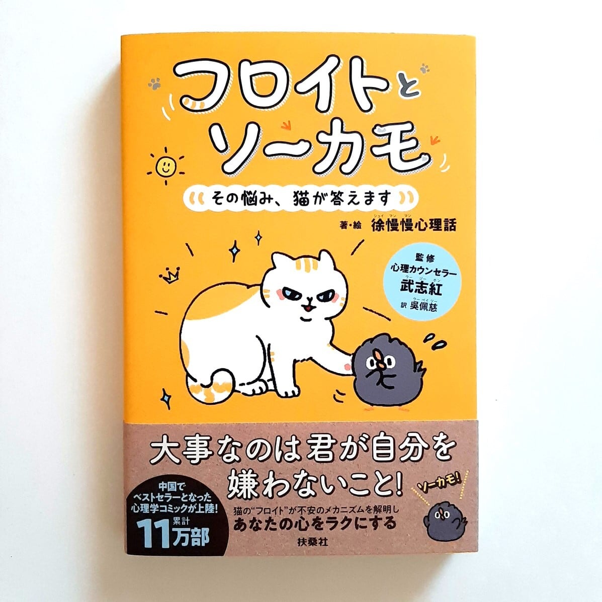 フロイトとソーカモ その悩み、猫が答えます | ねこのみち