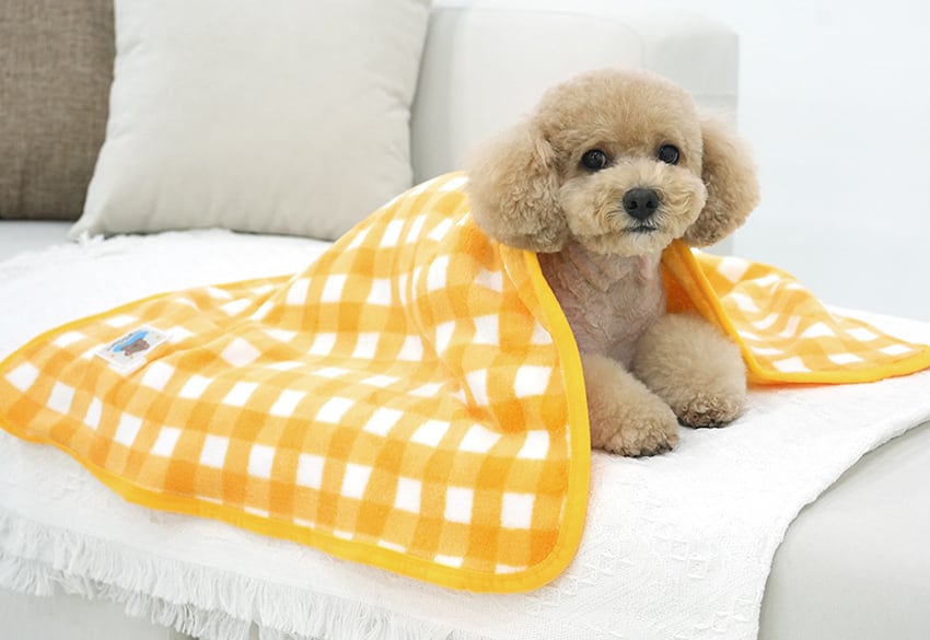 Tasumi Blanket L size / 毛布 ペット用品 ぽかぽか ふわふわ 防寒 ボア ブランケット 寒さ対策 暖かい  ペット 冬 外出用品 小型犬 中型犬