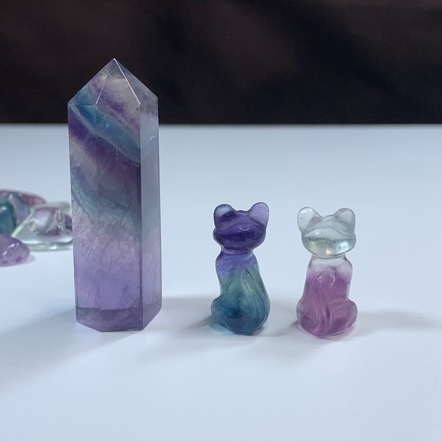 02.フローライトねこちゃんの集い場・フローライト