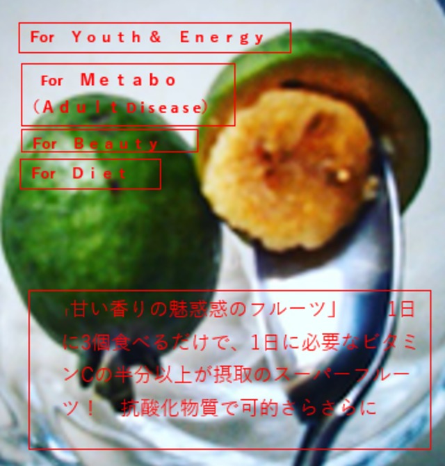 10月頃 美味しいミラクルフルーツ 3個食べるだけで 1日に必要なビタミンcの半分以上が摂取 抗酸化物質で可的さらさらに フェイジョア 1袋 10 12個 Rabbit Farm Premium 浜松のナチュラル ヘルシーフードの販売店 10月頃 美味しいミラクルフルーツ 3個食べるだけで 1日に必要なビタミンcの半分以上が摂取 抗酸化物質で可的さらさらに フェイジョア 1袋 10 12個 Rabbit Farm Premium 浜松のナチュラル ヘルシーフードの販売店