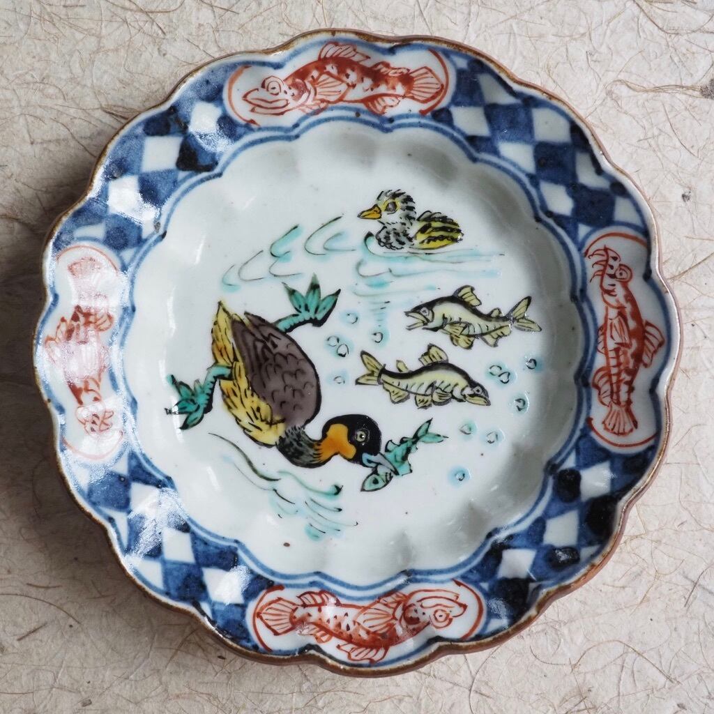 松浦コータロー/色絵 鳰の海図 輪花リム小皿