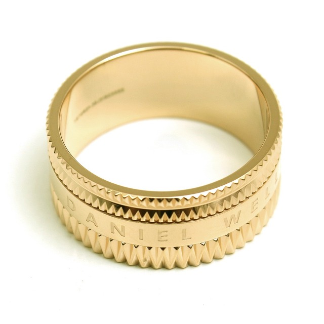 ダニエルウェリントン リング DW00400276 25号 メンズ エレベーション ELEVATION ゴールド