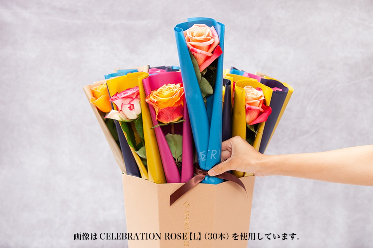 CELEBRATION ROSE【S】（18本）