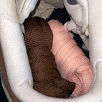 堀米 雄斗(Yuto Horigome) × Nike SB Dunk Low Pro QS "Wolf Grey" US12/30cm