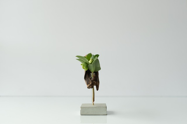 Driftwood flower vase 28