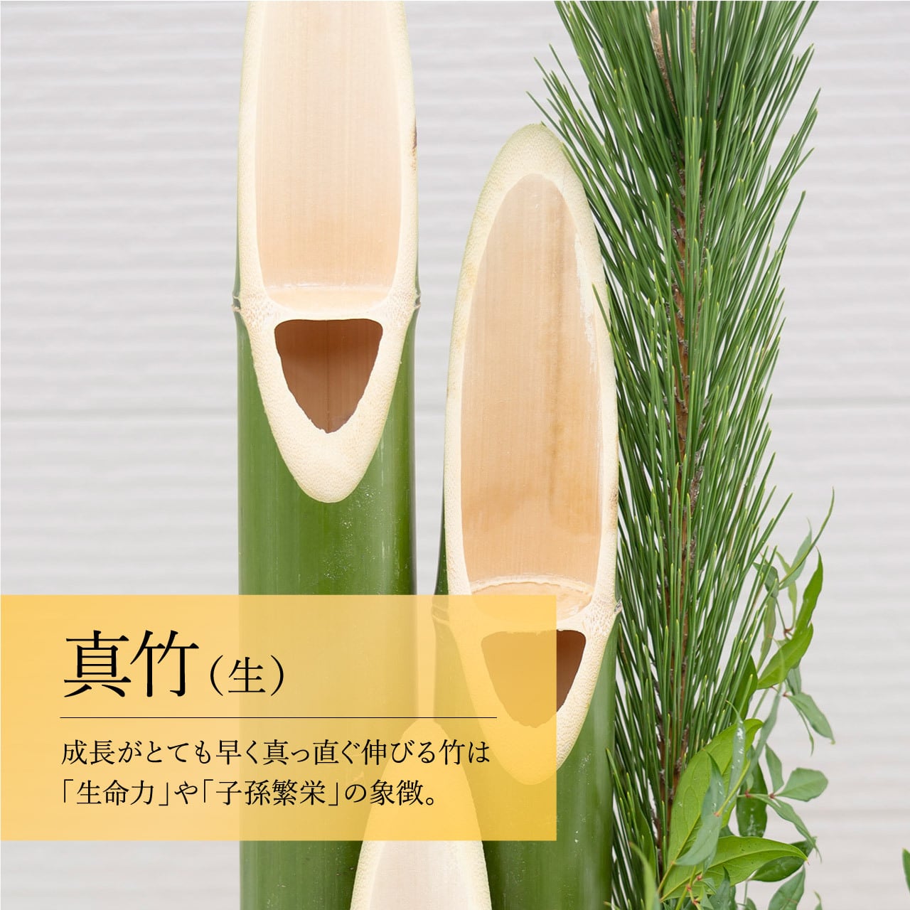 笑い竹若松仕上げ門松 90cm（一対） | 門松専門店 えびす屋