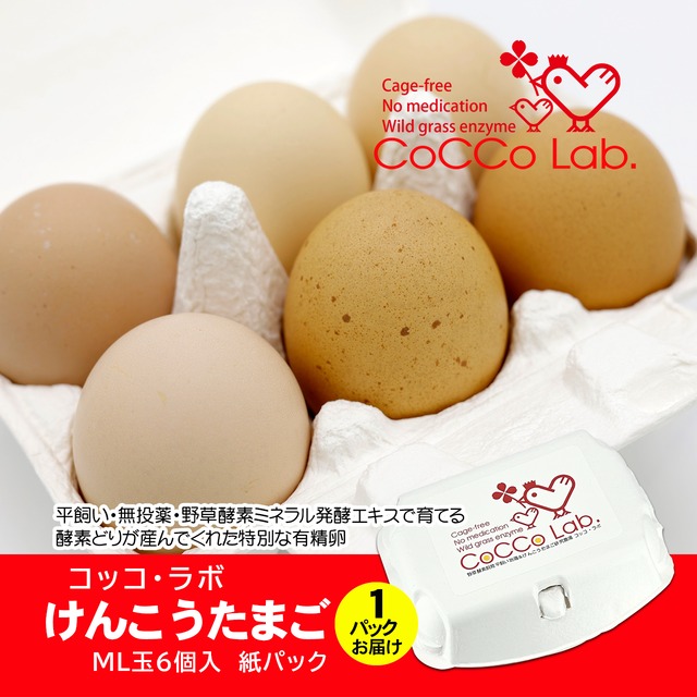 CoCCo Lab. 元気な酵素鶏が産んでくれた有精卵　酵素けんこう卵　６個入×１パック