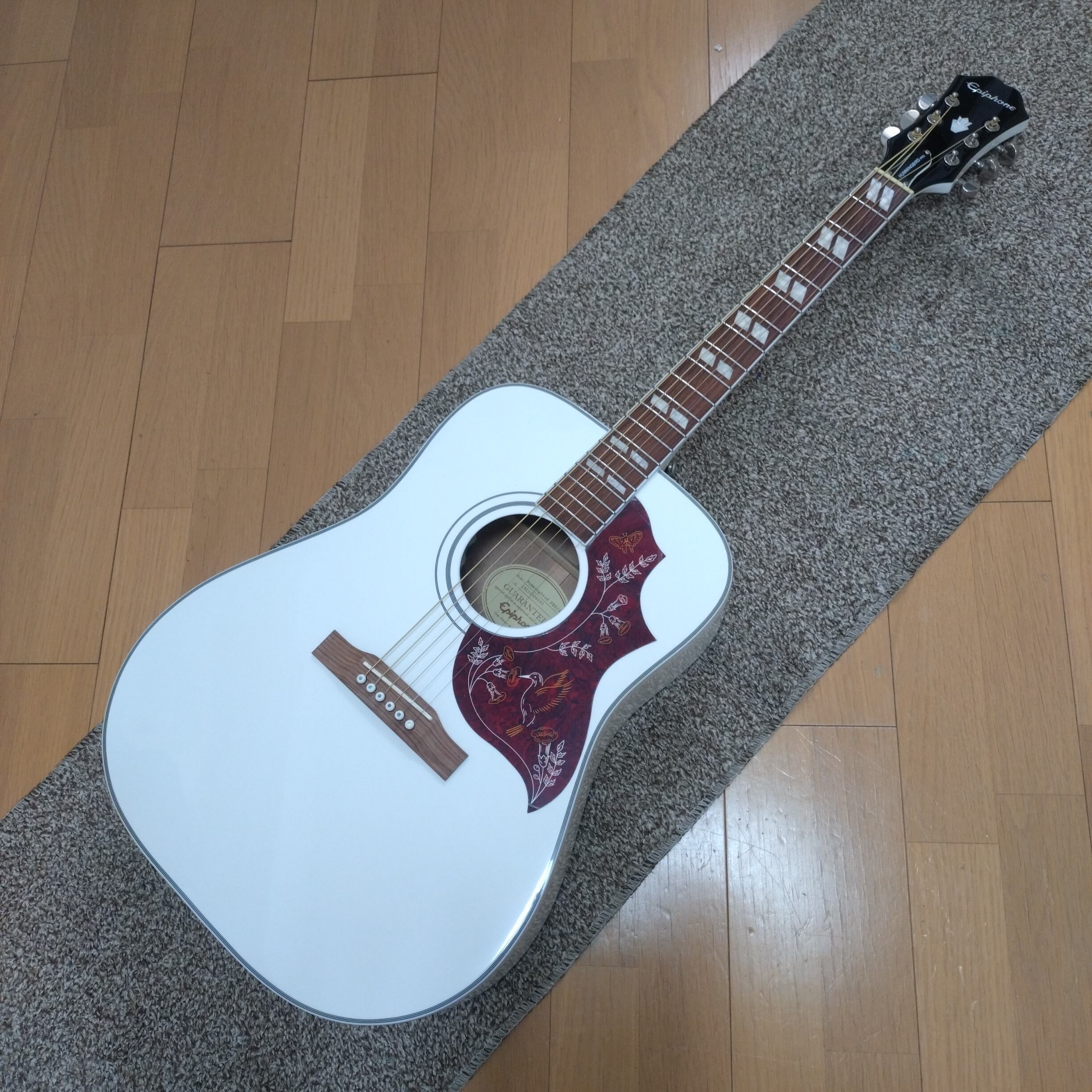川崎楽器【楽器Beginner応援！】