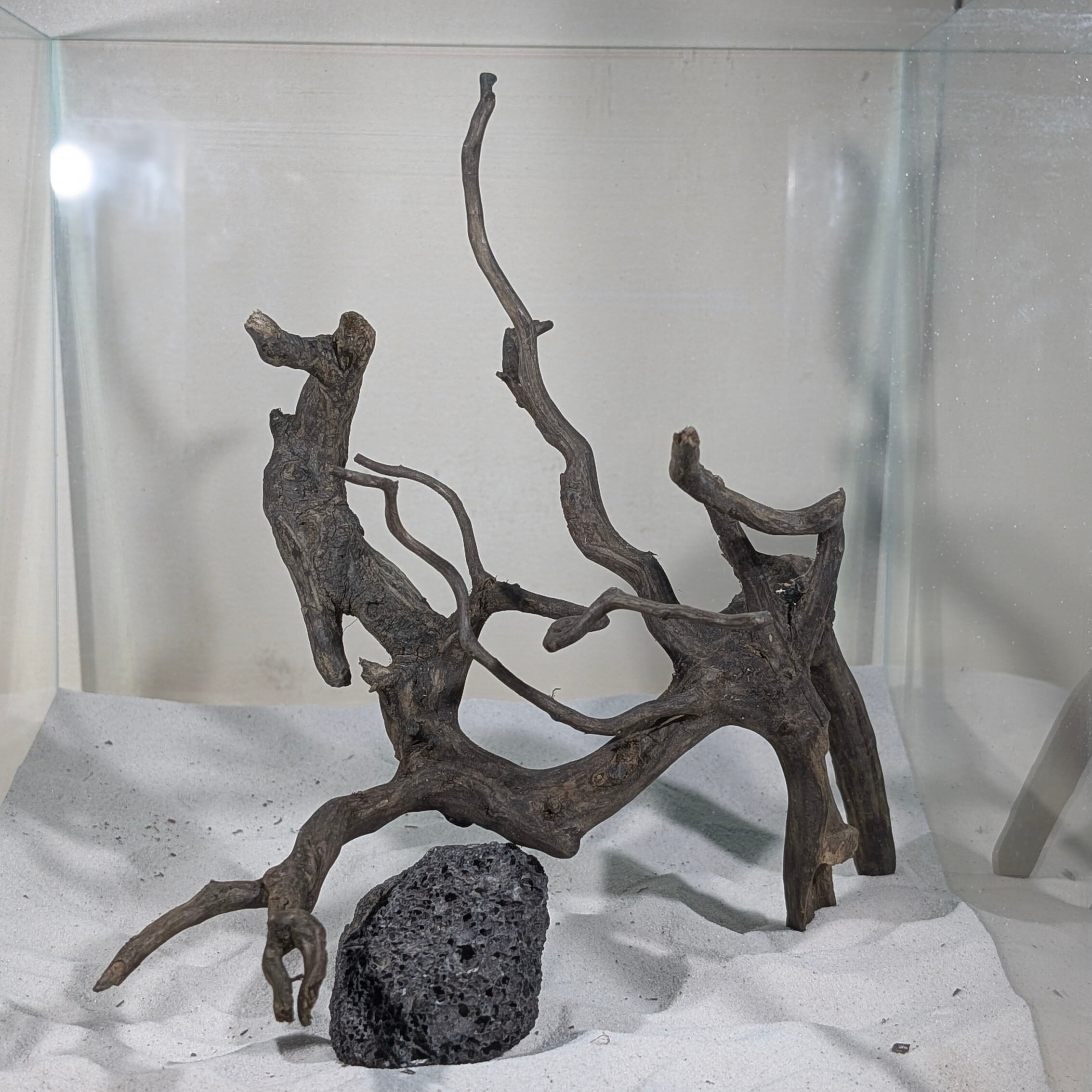 ペットの流木 水宗工房