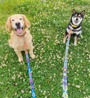 MEXICAN WOVEN LEASH