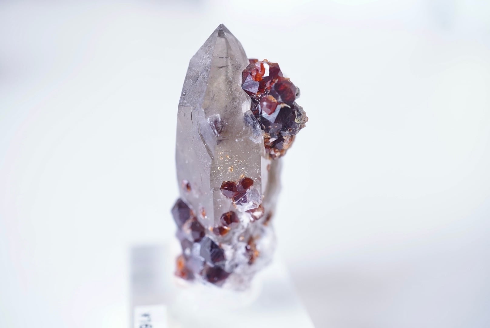 中国、福建省、Wushan 鉱山の煙水晶の上のスペサルティンガーネット11