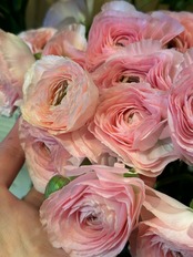 【 1 年分だと1回無料!】全国送料込み★オールジャパーン便|季節のお花を〜!