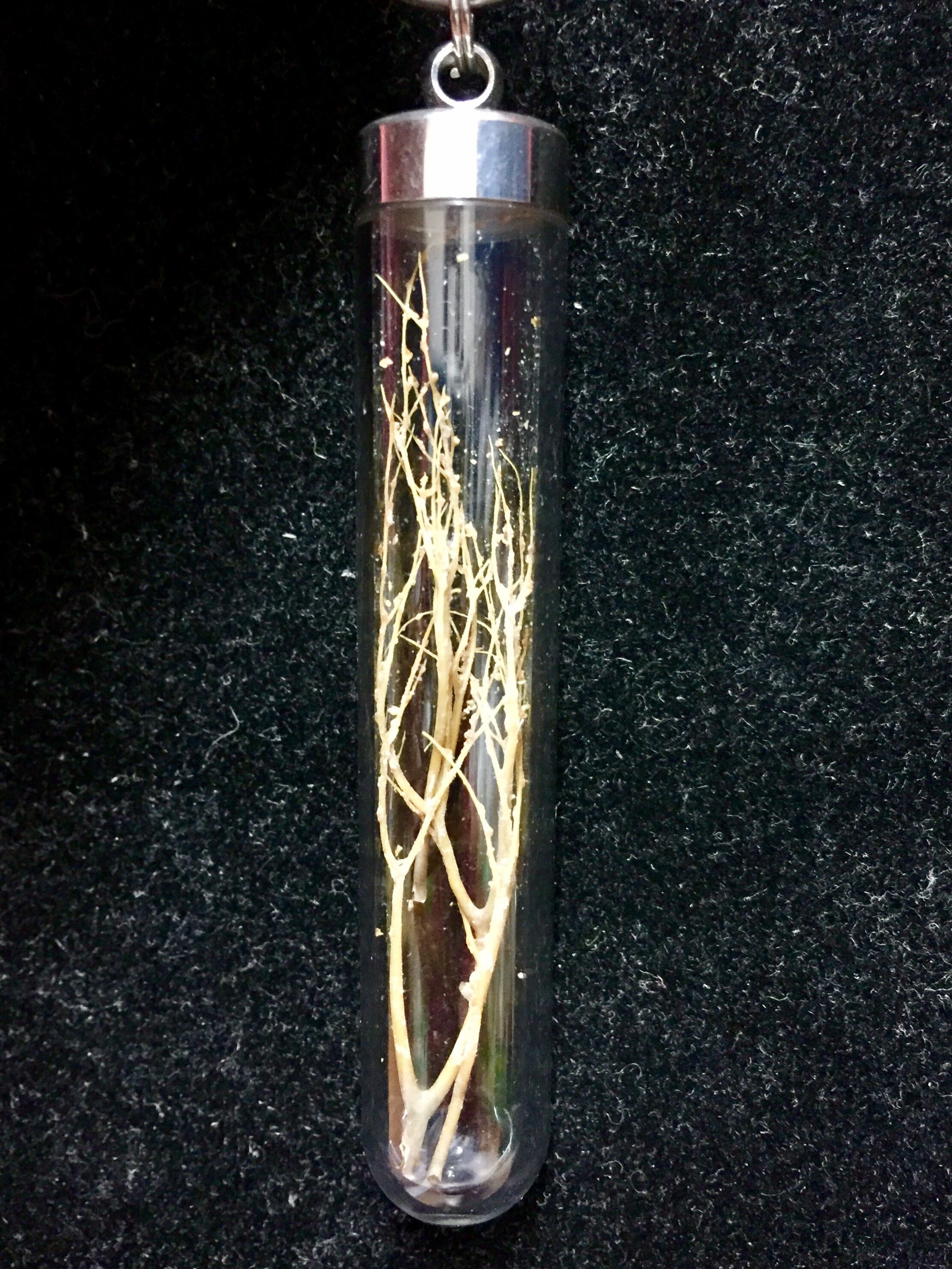 オルゴナイト  富士山 富士山 FUJIYAMA - 碧天｜錫製雑貨・酒器の通販は能作オンライン