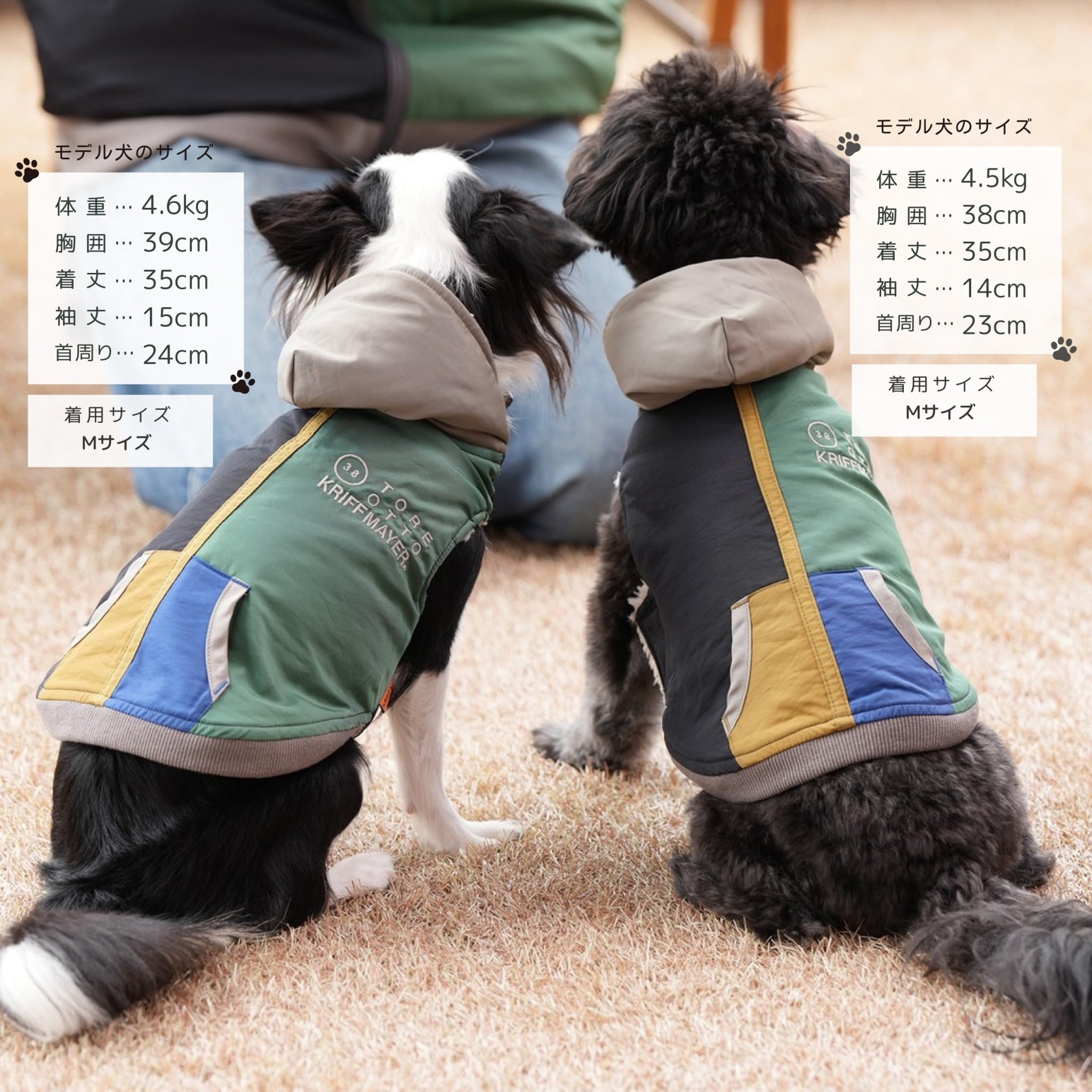 DOGひっくりベスト（GREIGE） | 38explore