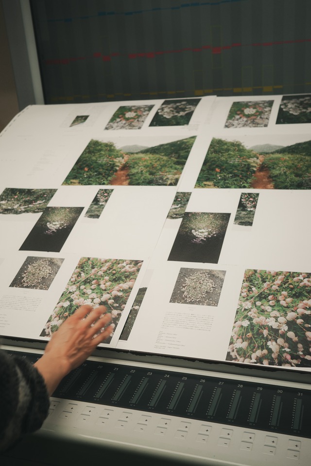 5th Anniversary book "FLOWER OF THE MOUNTAIN"