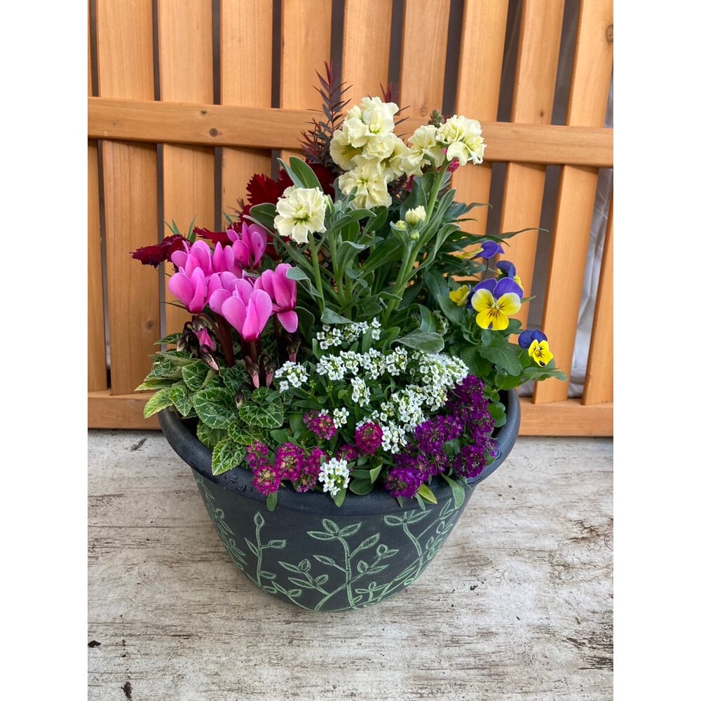 季節の寄せ植え リーフ柄 軽量プラスチック鉢 内径24cm （グリーン・4