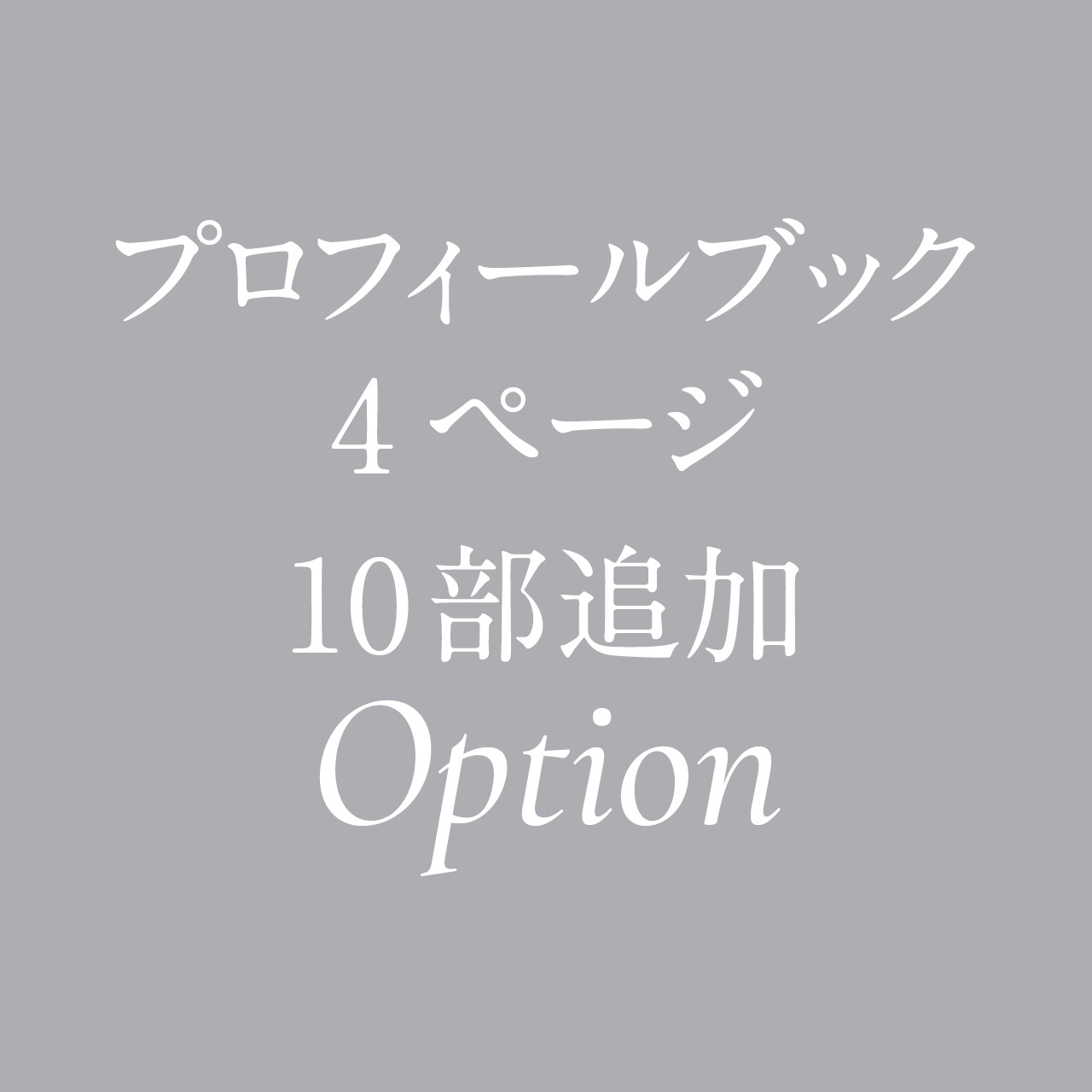 プロフィールブック4ページ10部追加オプション