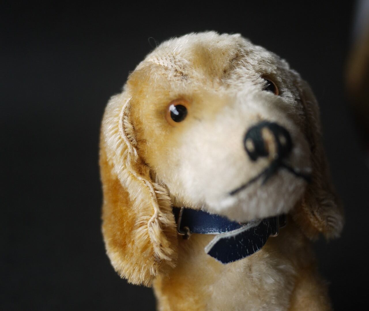 シュタイフ Bazi ダックスフント ドイツ STEIFF | こりすのパン屋Base