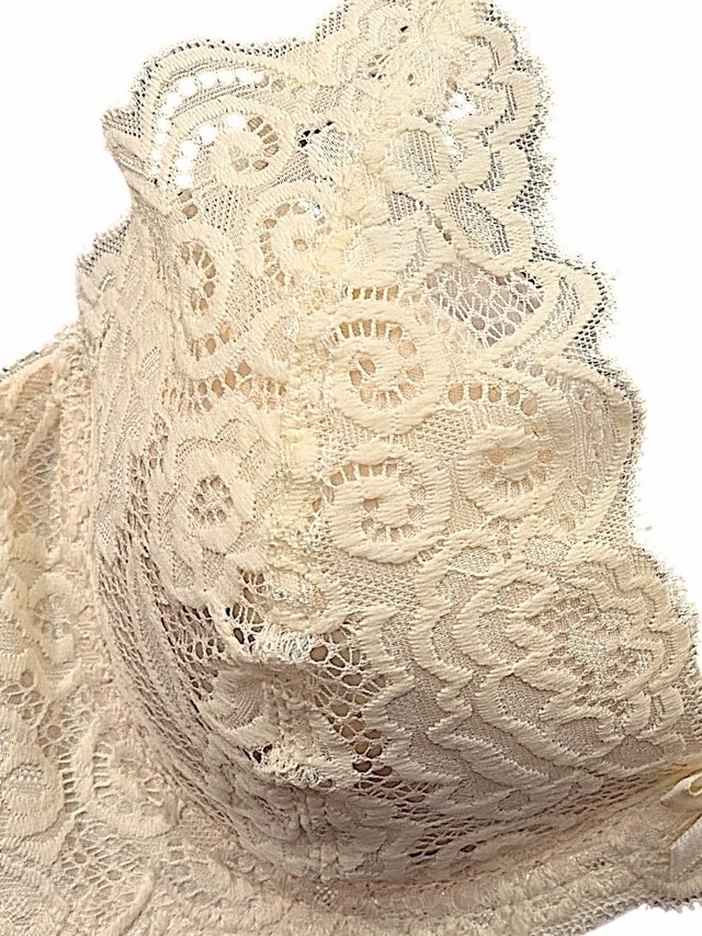 BCDcup【76550 アイボリー】総レースブラ