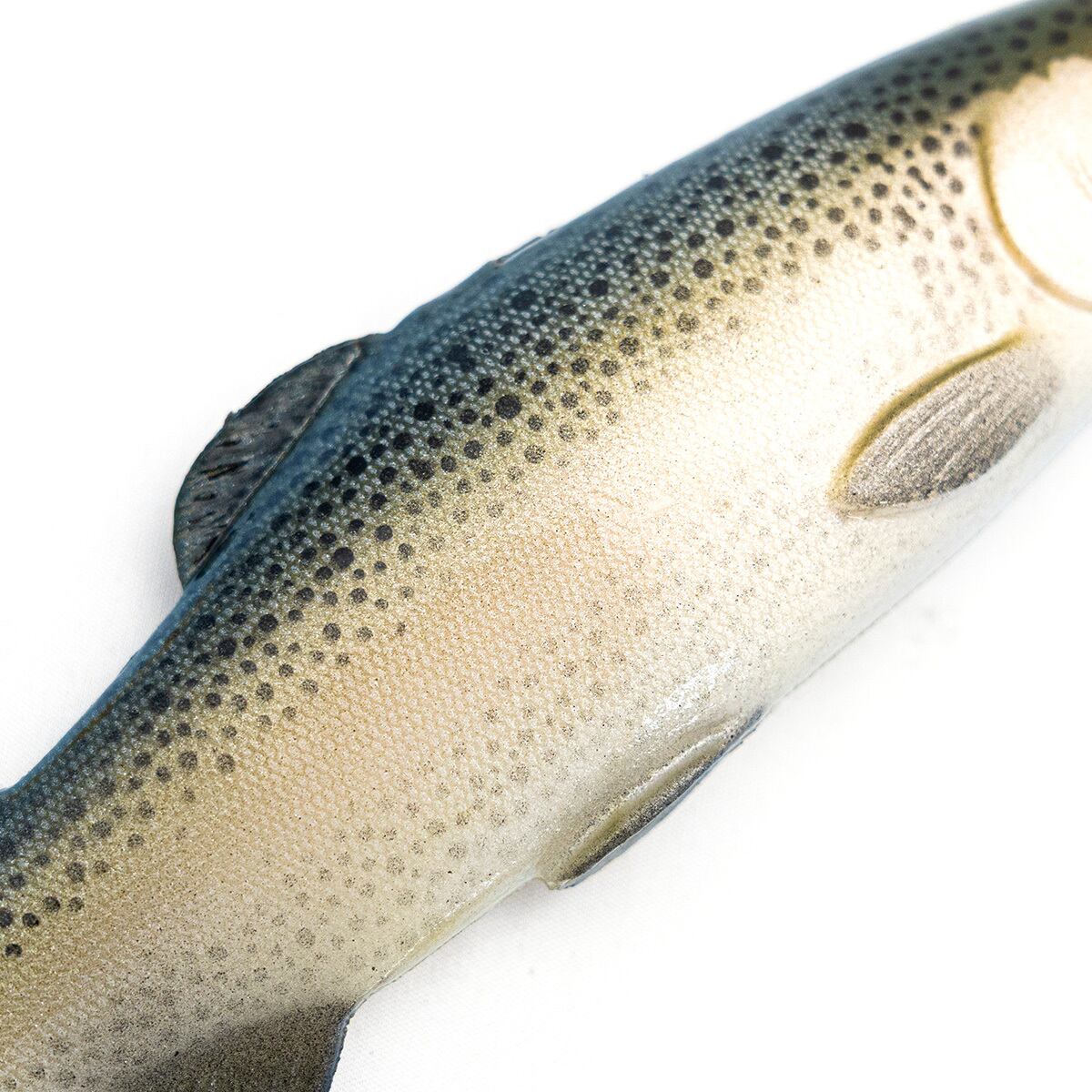 Chaos Bait / Chaos Trout 9.5 #Light Trout | modeB Trading