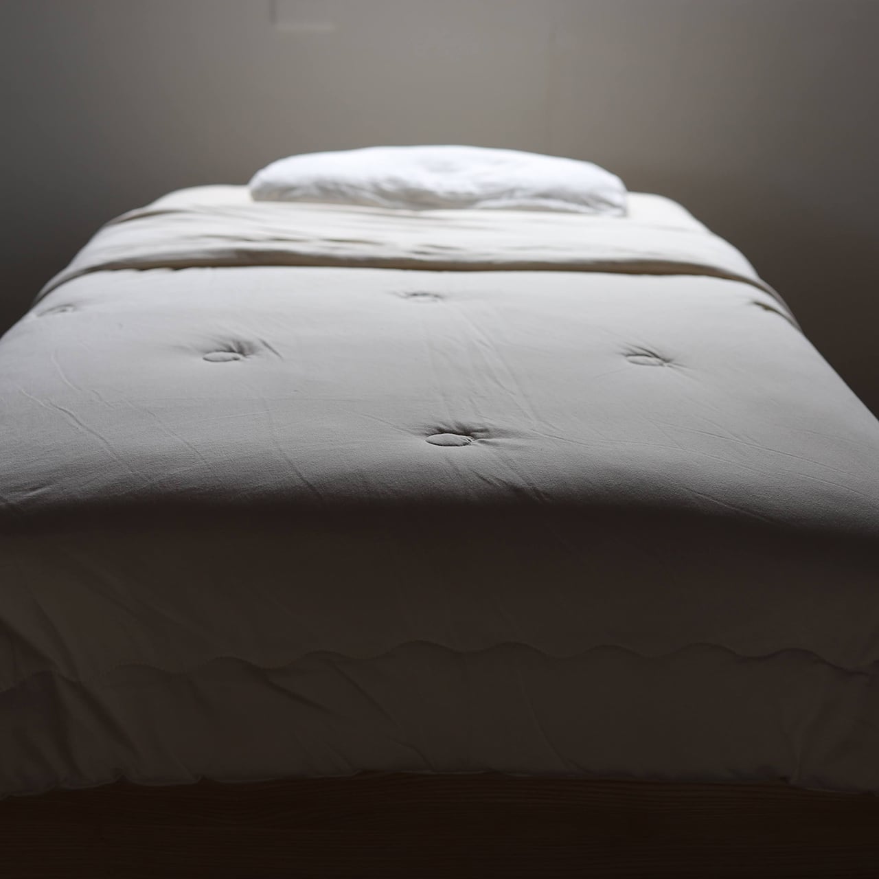 【未使用】Adan アーダン 起毛シルク毛布 絹100% 高級寝具 定価5.5万 未使用】Adan アーダン 起毛シルク毛布 絹100% 高級寝具 定価5.5