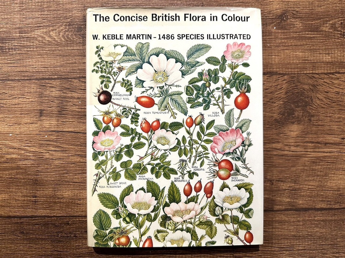 【VW181】The concise British flora in colour /visual book KITAZAWA