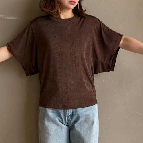 （同梱）kokonattsubanira様専用ページ：《4/26まで再販｜４月中旬〜末ごろ入荷》【 TERRAORY 】シャイニーコクーンTシャツブラウン
