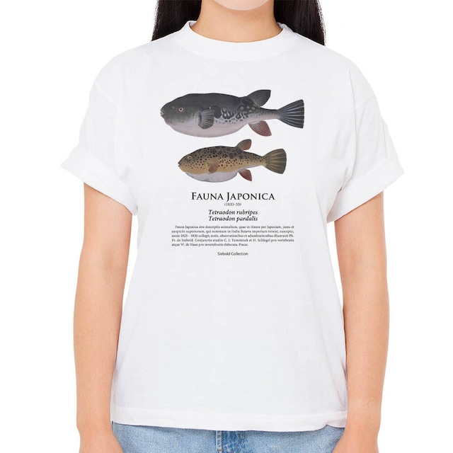 【トラフグ・ヒガンフグ】シーボルトコレクション魚譜Tシャツ（高解像・昇華プリント）