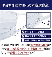 [医食同源ドットコム] iSDG 不織布マスクPREMIUM 50枚入り (個包装) (ふつう)