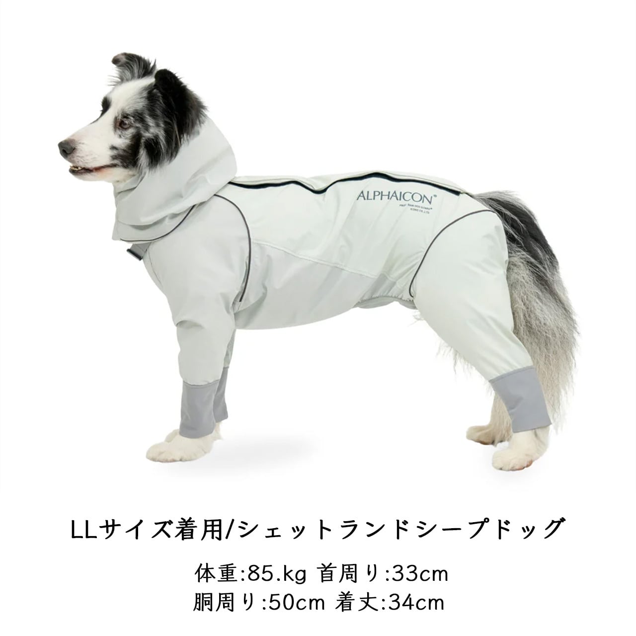 ALPHAICON [アルファアイコン] RAIN DOG GUARD [26RDG] レインドッグ