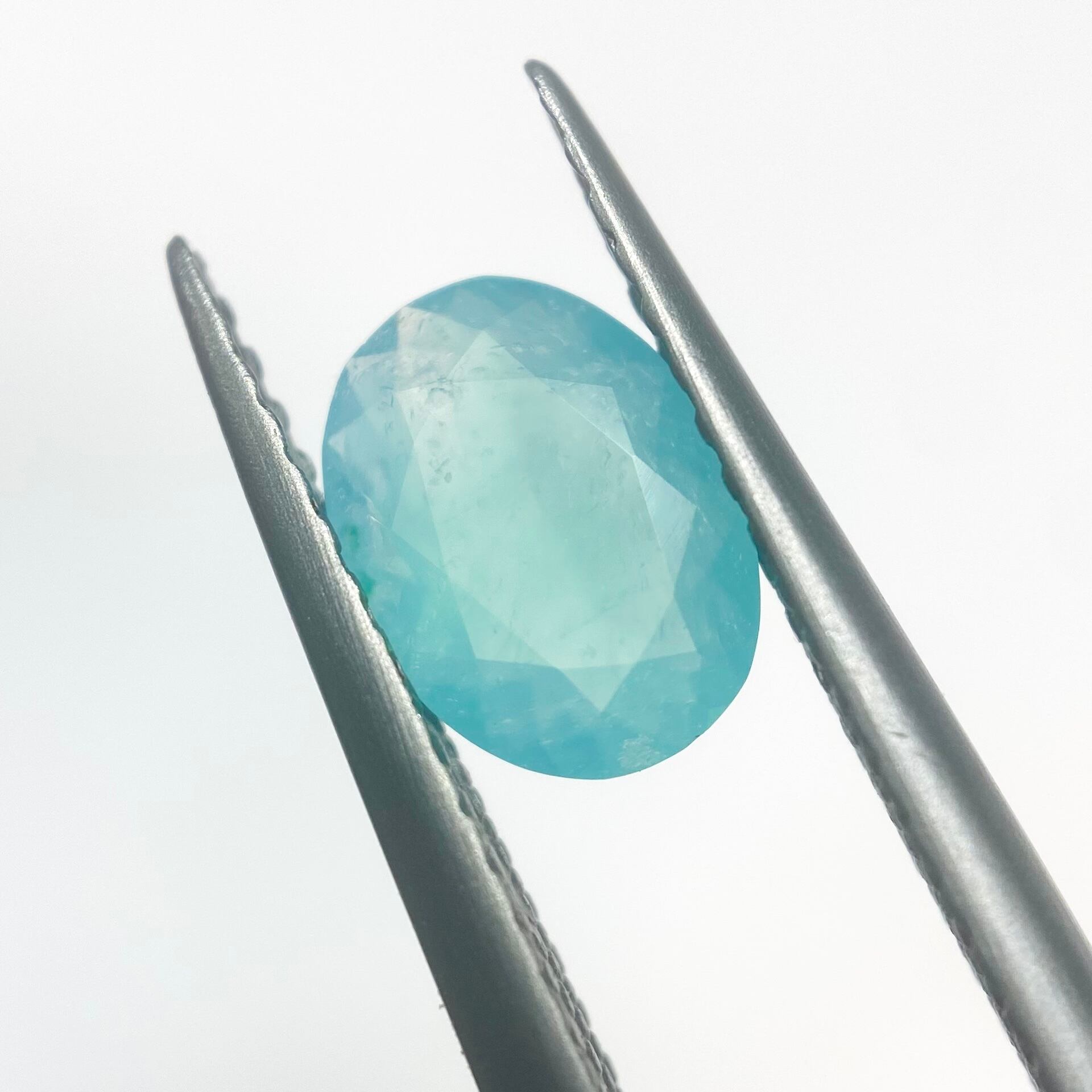 美しいシリカの王様 ジェムシリカ